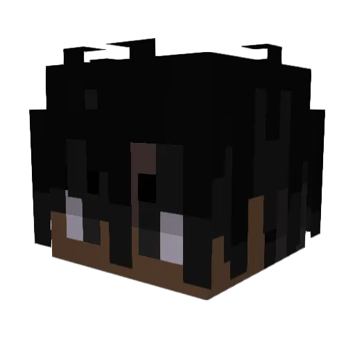flexxu Minecraft avatar head, 3D render