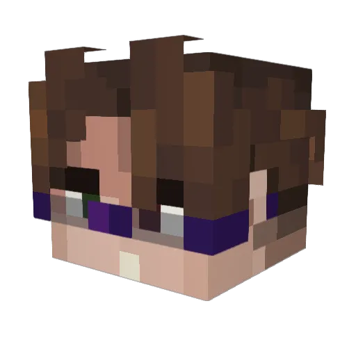 fliary Minecraft avatar head, 3D render