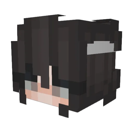 flibble1 Minecraft avatar head, 3D render