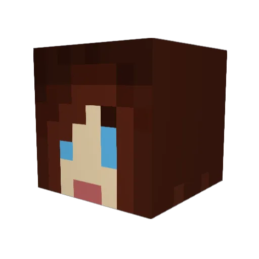 flickcity Minecraft avatar head, 3D render