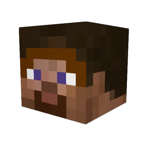 flicker2008 Minecraft avatar head, 3D render
