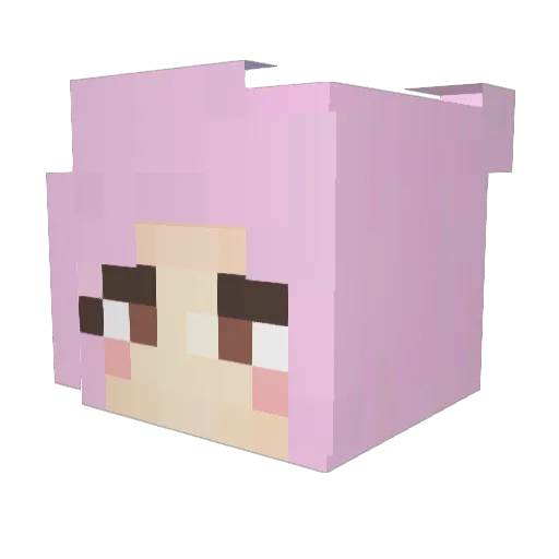 flicksyYT Minecraft avatar head, 3D render