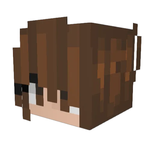 flickybum Minecraft avatar head, 3D render