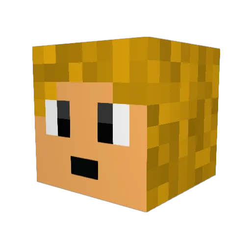 flido11 Minecraft avatar head, 3D render