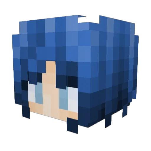 flig Minecraft avatar head, 3D render