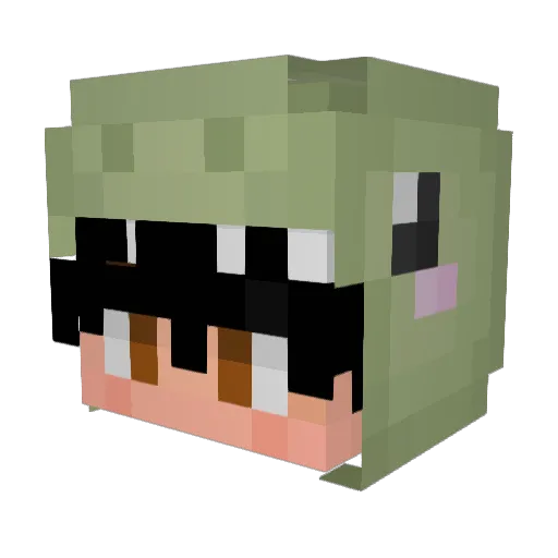 flightlilcousin Minecraft avatar head, 3D render