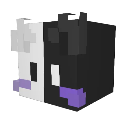 fliiippy_ Minecraft avatar head, 3D render