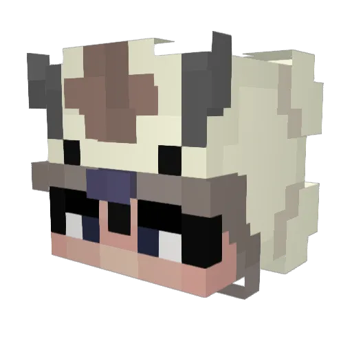 flimmerkraft Minecraft avatar head, 3D render