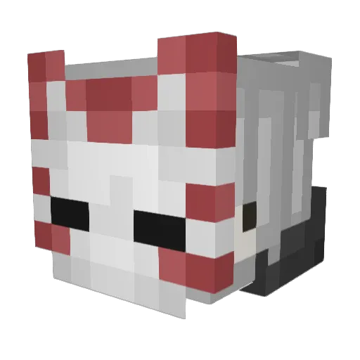 flin13 Minecraft avatar head, 3D render