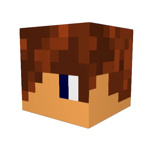 flipfanta Minecraft avatar head, 3D render