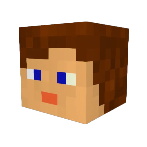 flipflip19 Minecraft avatar head, 3D render