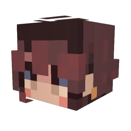 flipflipyong Minecraft avatar head, 3D render