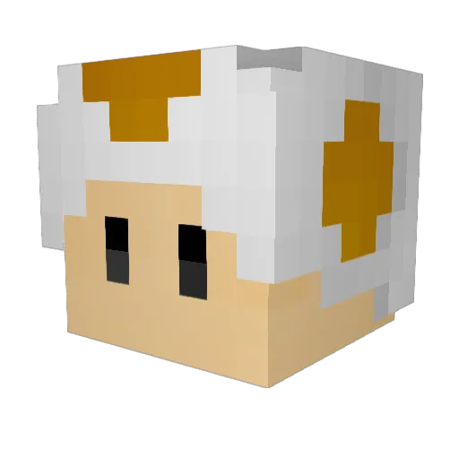 flipflopXX Minecraft avatar head, 3D render