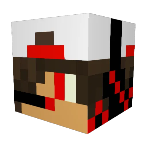 flipper1406 Minecraft avatar head, 3D render