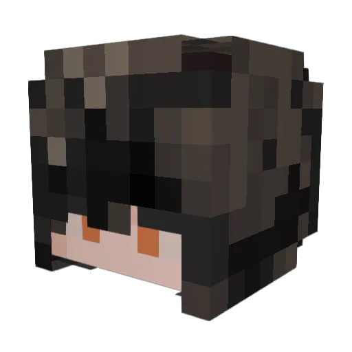 flipper3r2o3 Minecraft avatar head, 3D render