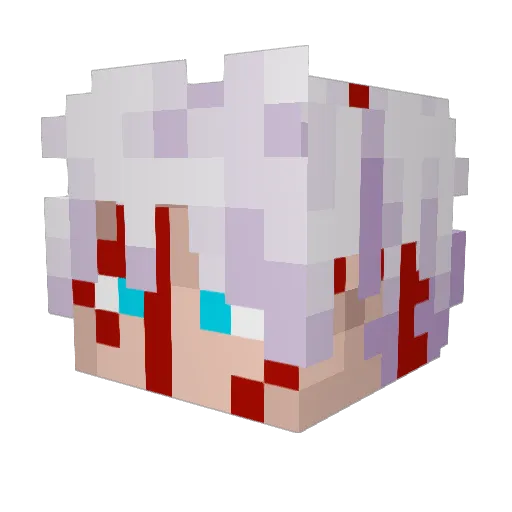 flipper69457 Minecraft avatar head, 3D render