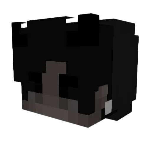 flipper999 Minecraft avatar head, 3D render