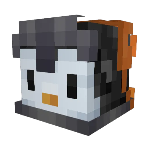 flippie45 Minecraft avatar head, 3D render