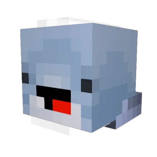 flippy1227 Minecraft avatar head, 3D render