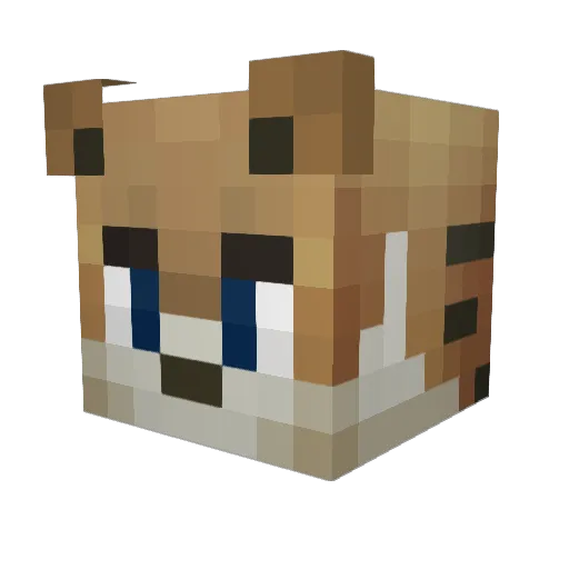 flipster64 Minecraft avatar head, 3D render