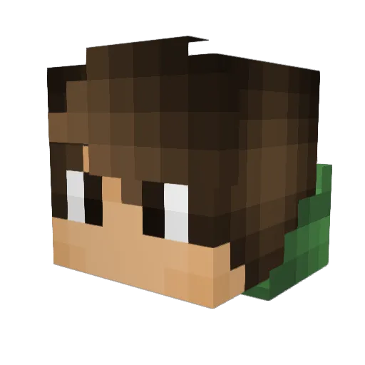 flipthecreeper Minecraft avatar head, 3D render