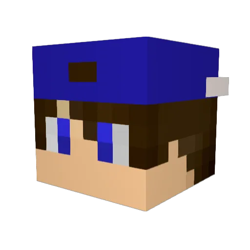 flitzi2306 Minecraft avatar head, 3D render