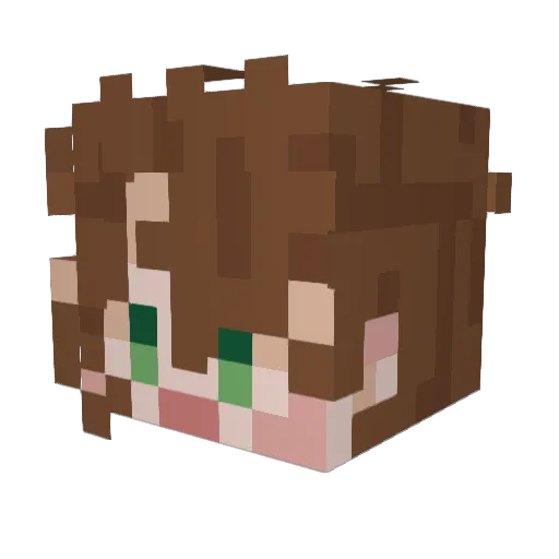 flix0o7 Minecraft avatar head, 3D render