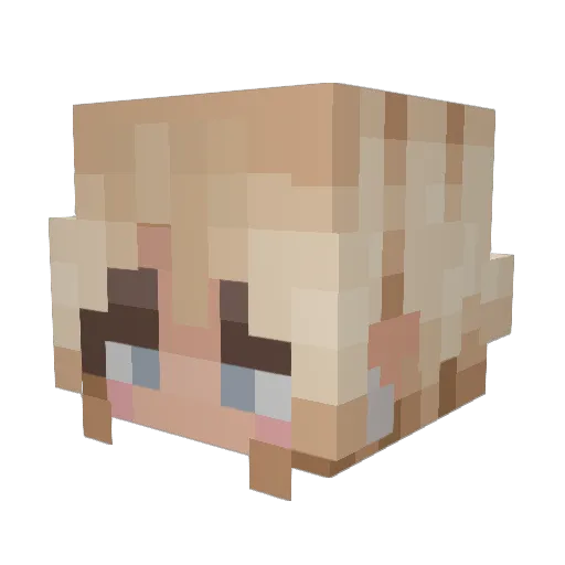 flixsypooh Minecraft avatar head, 3D render