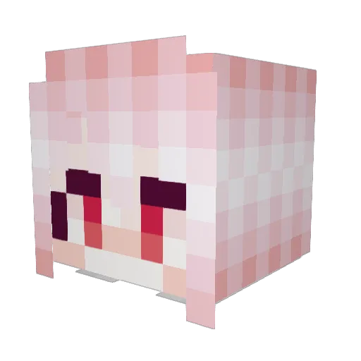 flizziot Minecraft avatar head, 3D render
