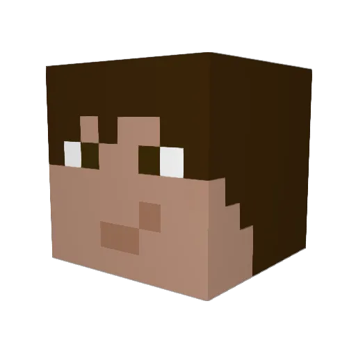 flo04042002 Minecraft avatar head, 3D render