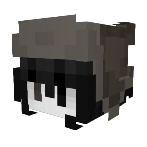 flo9290 Minecraft avatar head, 3D render