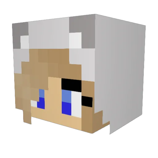 flo_3107 Minecraft avatar head, 3D render