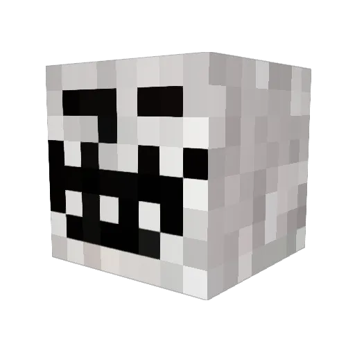 flo_weidner Minecraft avatar head, 3D render