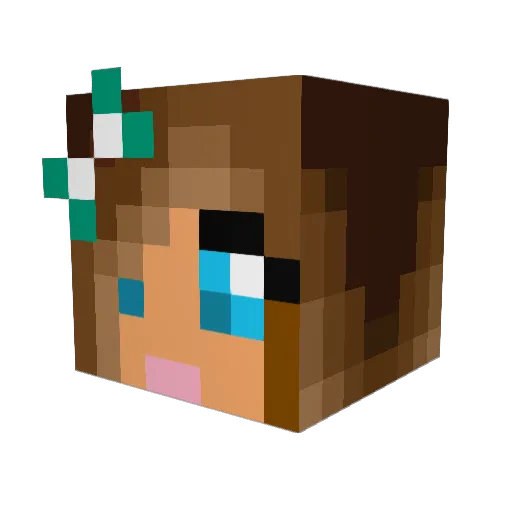 flobo123 Minecraft avatar head, 3D render