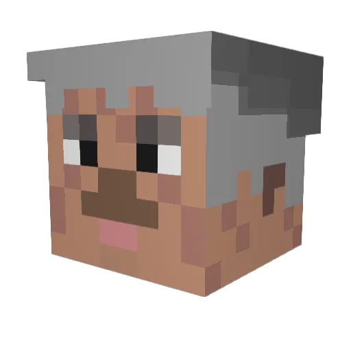 flobot79 Minecraft avatar head, 3D render