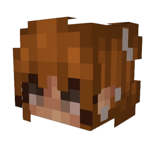 flocherry999 Minecraft avatar head, 3D render