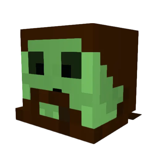 floderick Minecraft avatar head, 3D render