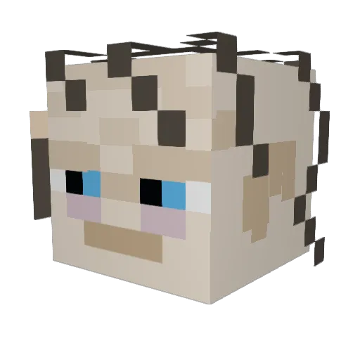 floe09 Minecraft avatar head, 3D render