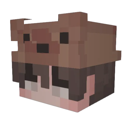 floepje2 Minecraft avatar head, 3D render
