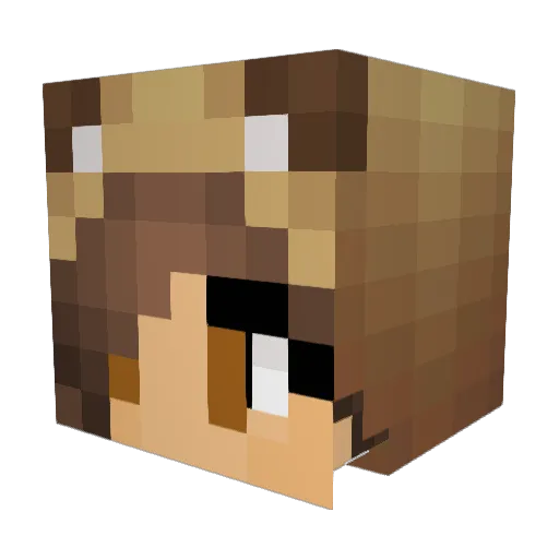 floflooob1 Minecraft avatar head, 3D render