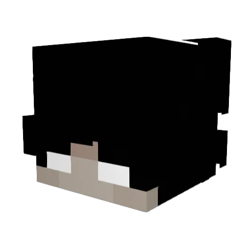 flogargouille Minecraft avatar head, 3D render