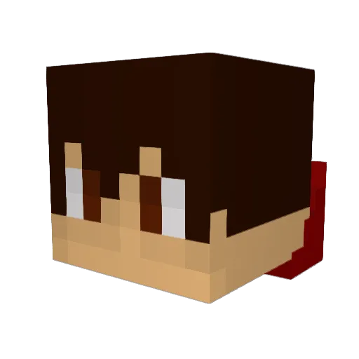 flohtc Minecraft avatar head, 3D render