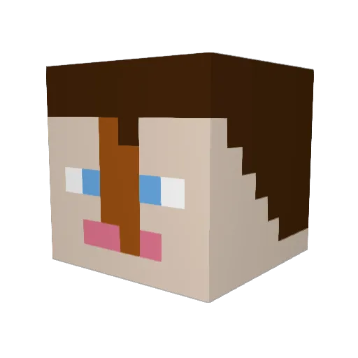flokdyret Minecraft avatar head, 3D render