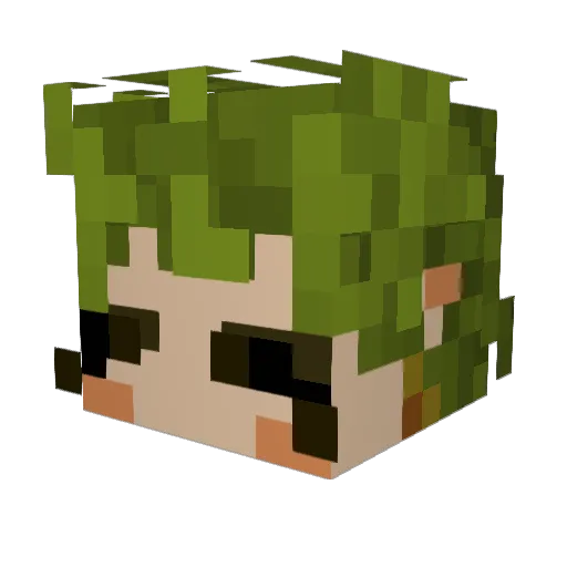 floleereyy Minecraft avatar head, 3D render
