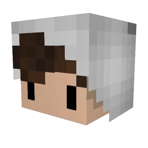 floninho Minecraft avatar head, 3D render
