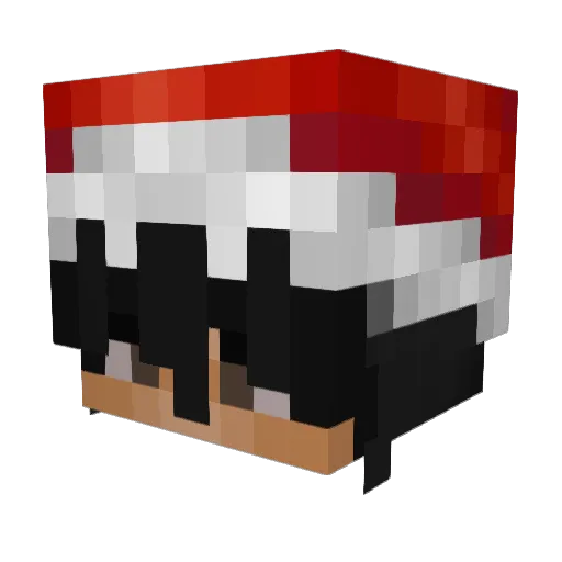 floodedd Minecraft avatar head, 3D render