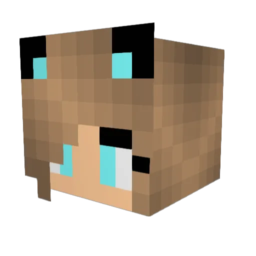 floodogymnast Minecraft avatar head, 3D render