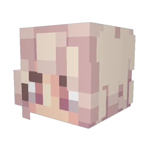 floof_midget Minecraft avatar head, 3D render