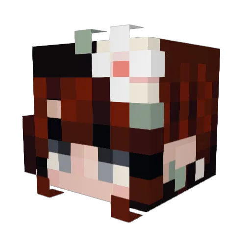 flooflifeYT Minecraft avatar head, 3D render