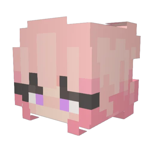 floofys_ Minecraft avatar head, 3D render